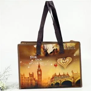 Die häufig verwendete Vliestasche mit Reißverschluss macht Ihr Leben bequemer