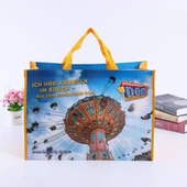 Rpet-Tasche Rpet-Einkaufstasche Recycelte Haustiertaschen